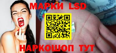 индика Тверь